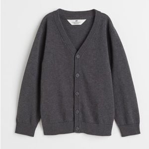 H&M Toddler Boys Button Down Sweater